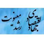 جهاد اقتصادی همراه با رشد معنویت